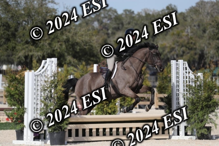 017RWCL6235