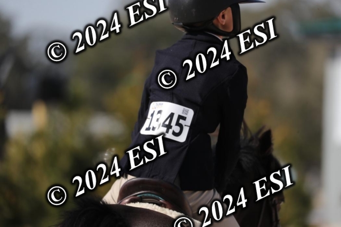 017RWCL6241