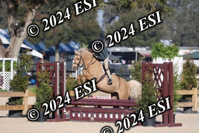 5850H8A1370