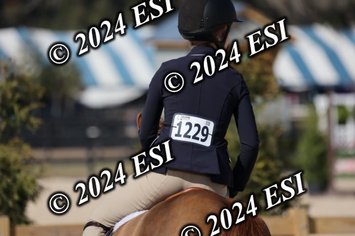 5800H8A1576