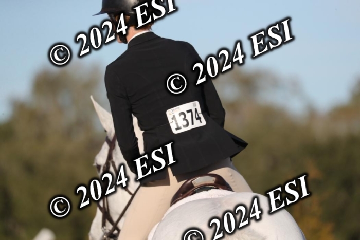 399RWCL7747