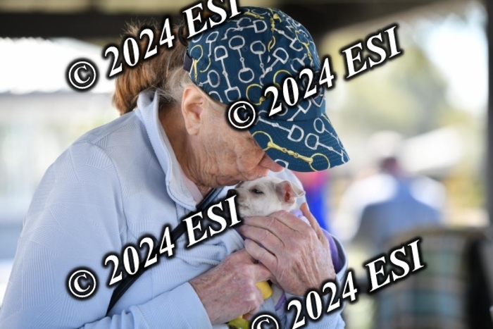 888545DAV_8645