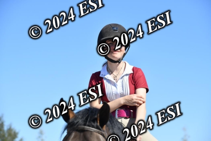 888595DAV_8782