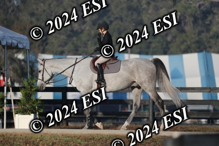 888676RWCL6273