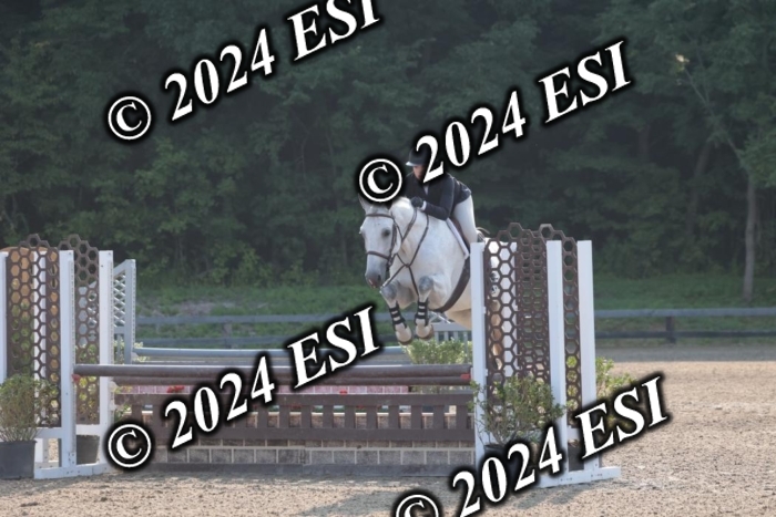 392SC1_9055