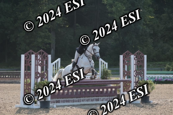 392SC1_9061