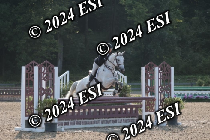 392SC1_9062