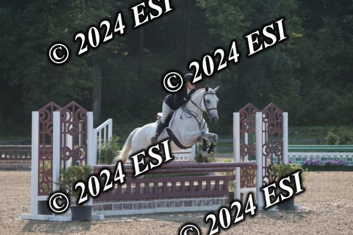 392SC1_9063