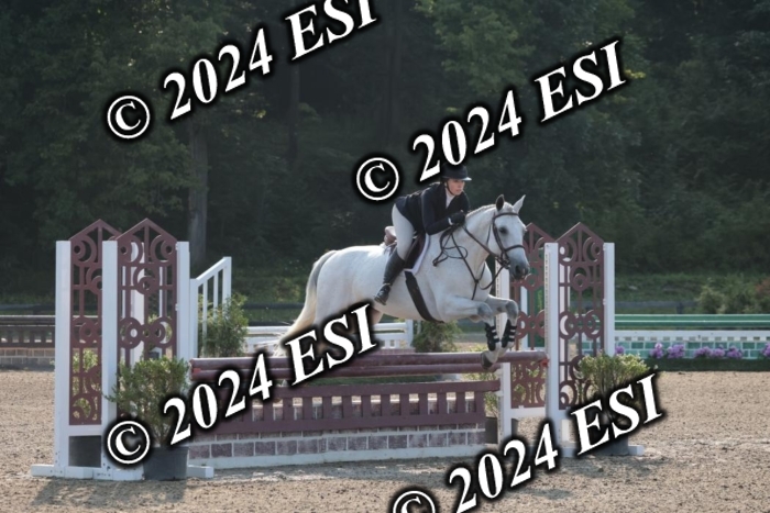392SC1_9065