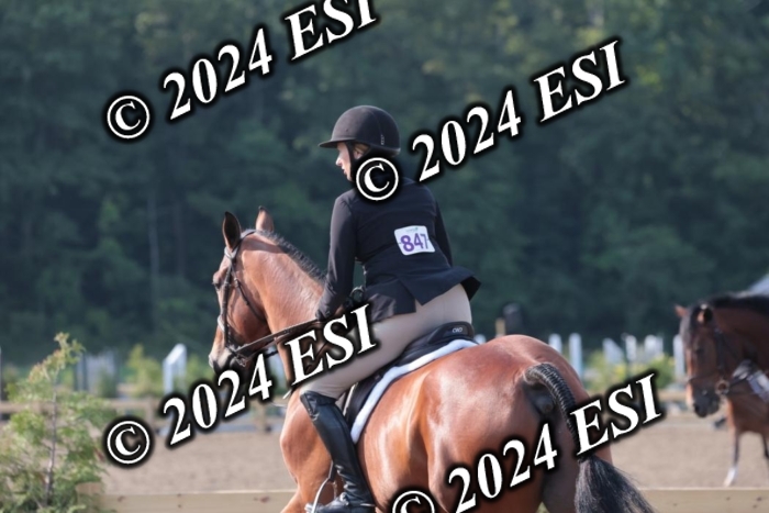 392SC1_9086