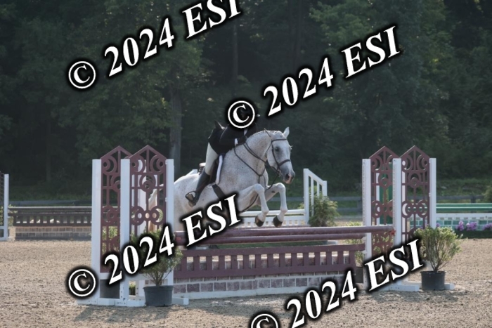 392SC1_9126