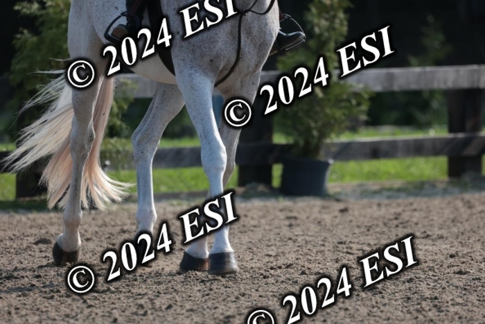 392SC1_9143