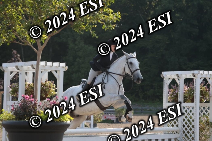 392SC1_9173