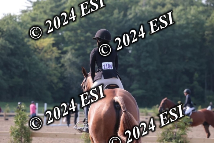 392SC1_9177