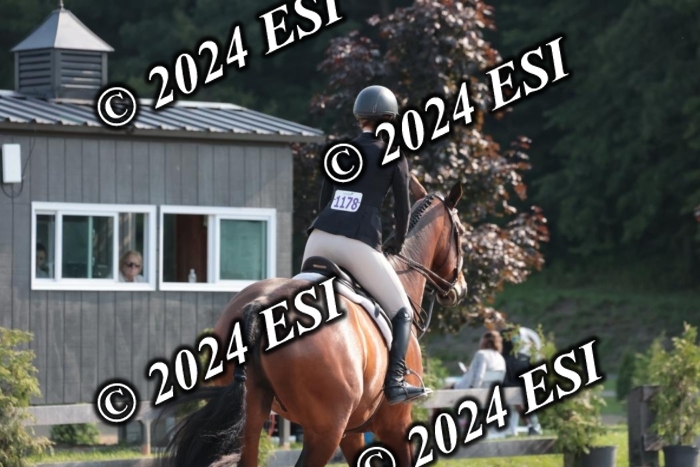 392SC1_9216