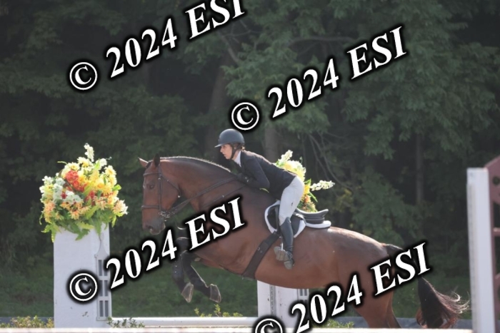 392SC1_9219