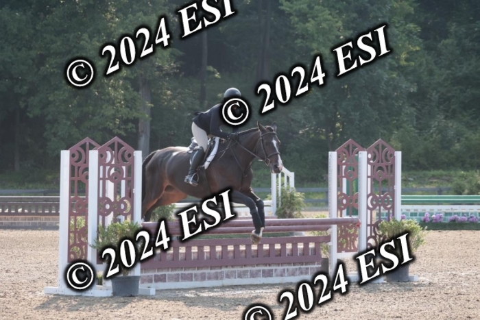 392SC1_9248