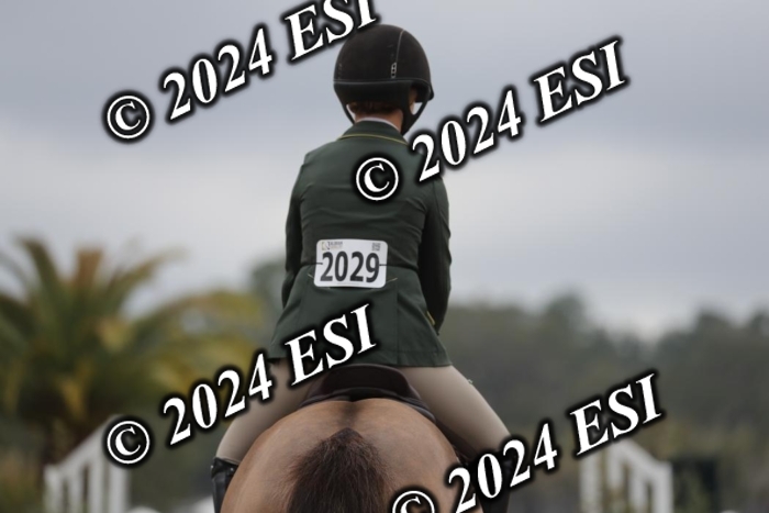 585AF2I2195