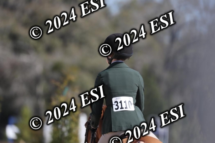 197AF2I3588