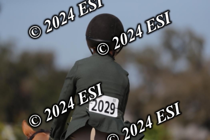 197AF2I3654