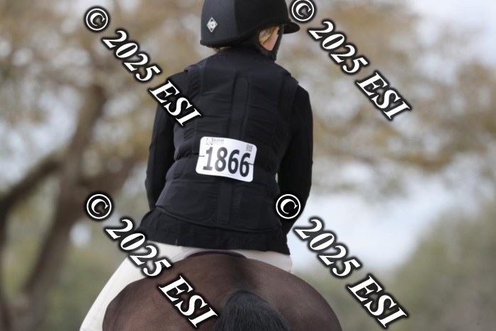 017RWCL8669