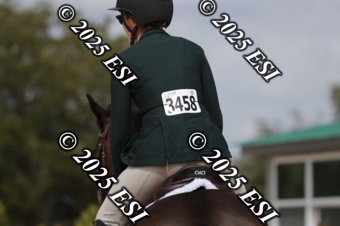 017RWCL8704