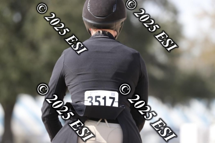 017RWCL8782