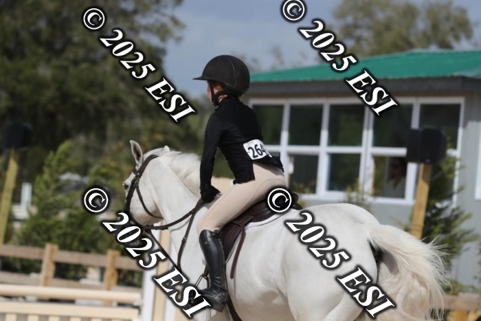 017RWCL8824