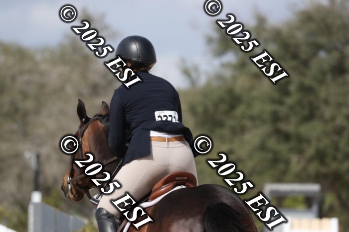 017RWCL8834