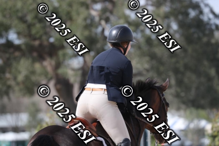 017RWCL8836