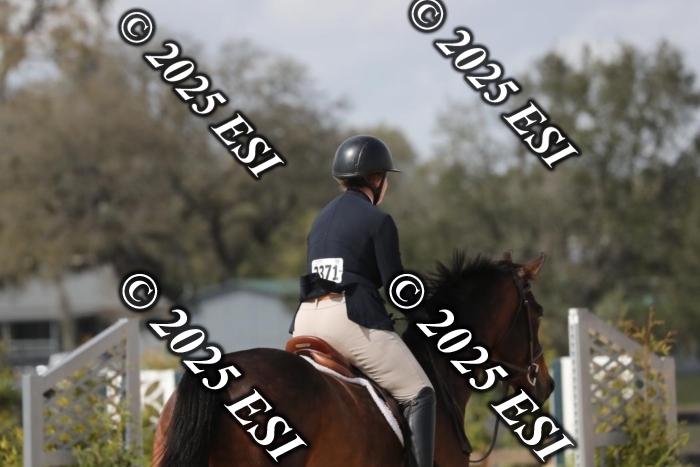017RWCL8837