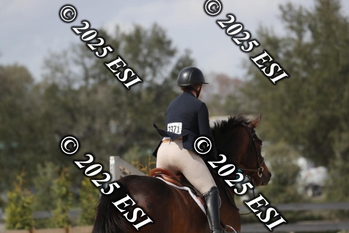 017RWCL8838