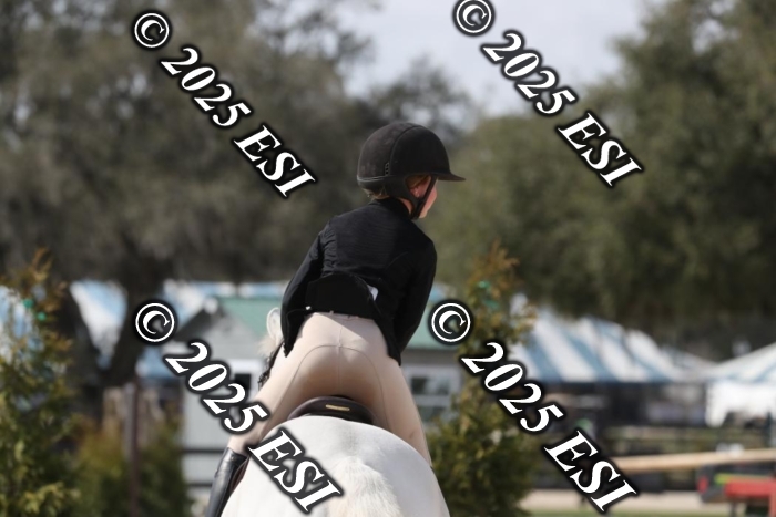 017RWCL8840