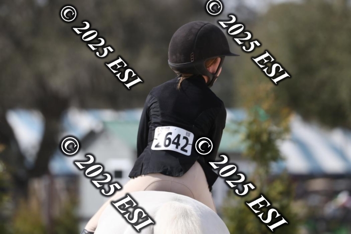 017RWCL8843