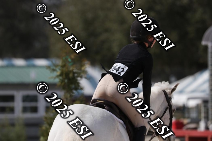 017RWCL8845