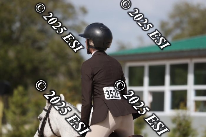 017RWCL8856