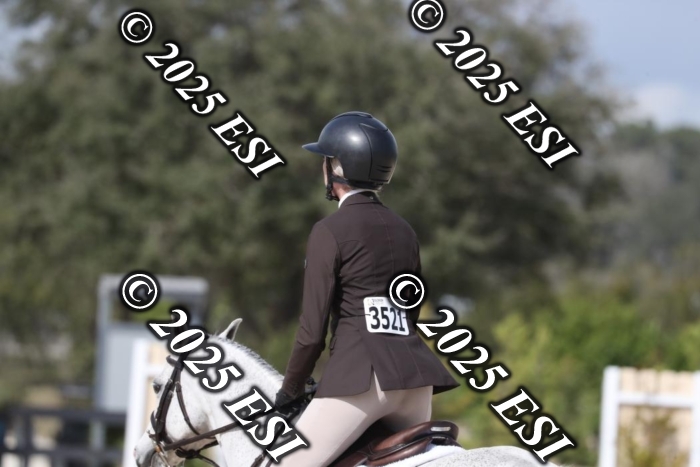 017RWCL8858