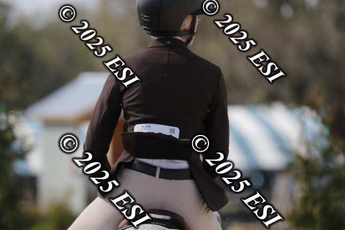 017RWCL8871