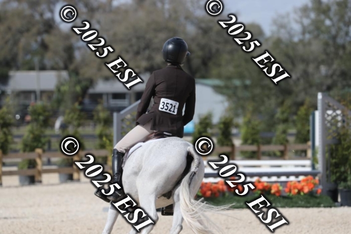 017RWCL8872