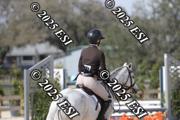 017RWCL8873