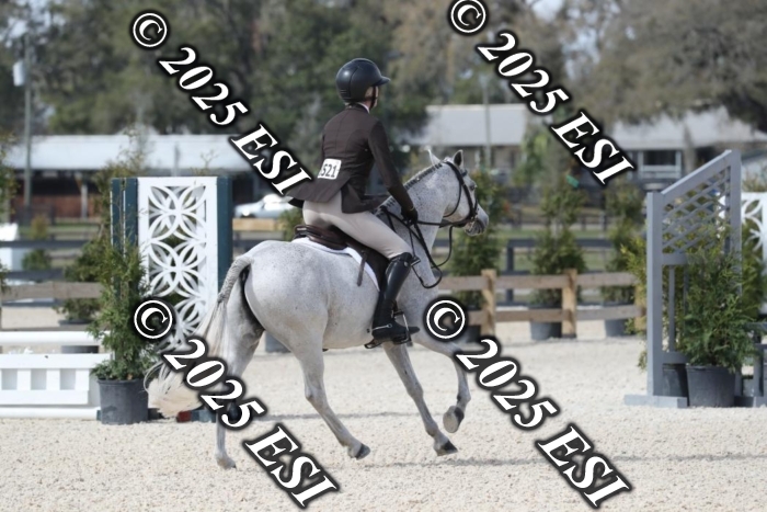 017RWCL8883