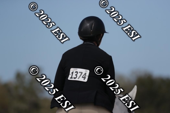 385RWCL9204