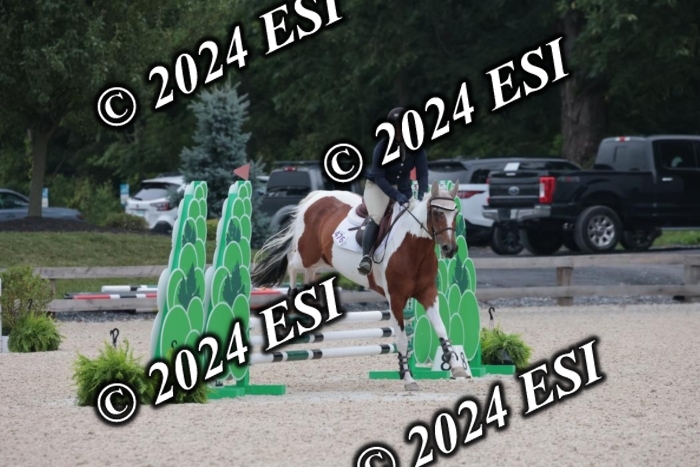 200SC1_9483
