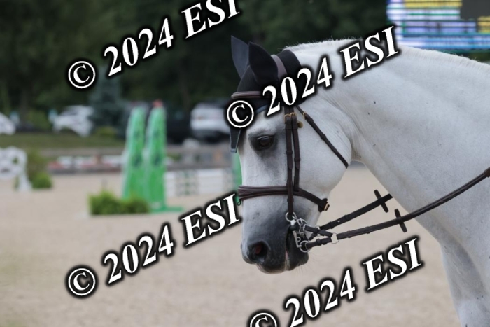 200SC1_9563