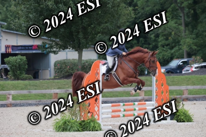 200SC1_9598