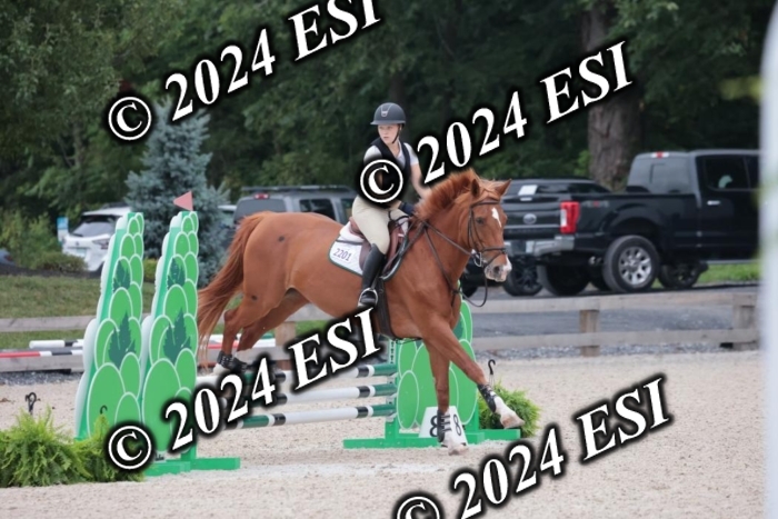 200SC1_9658