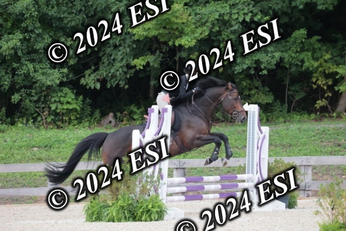 200SC1_9763