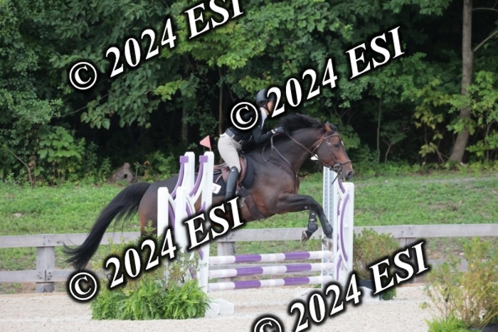 200SC1_9764