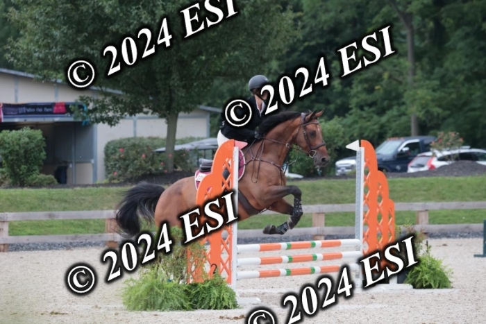 200SC1_9771