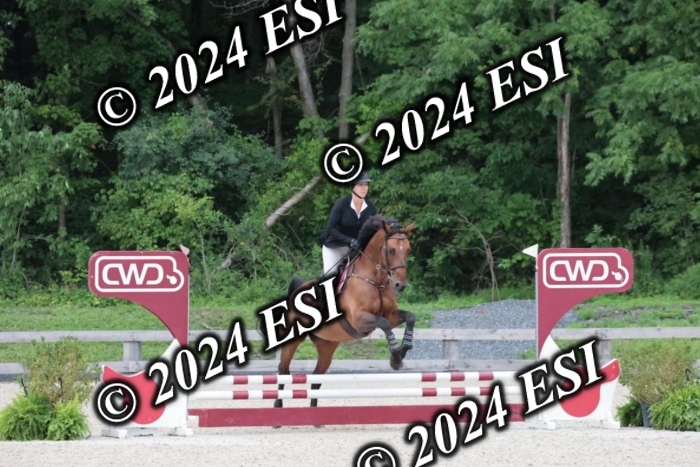 200SC1_9778